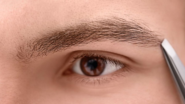 清潔感のある男性の眉毛